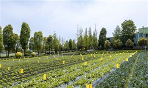 2024健康产业现状及前景分析：全国已建成健康企业近19万家(图5)