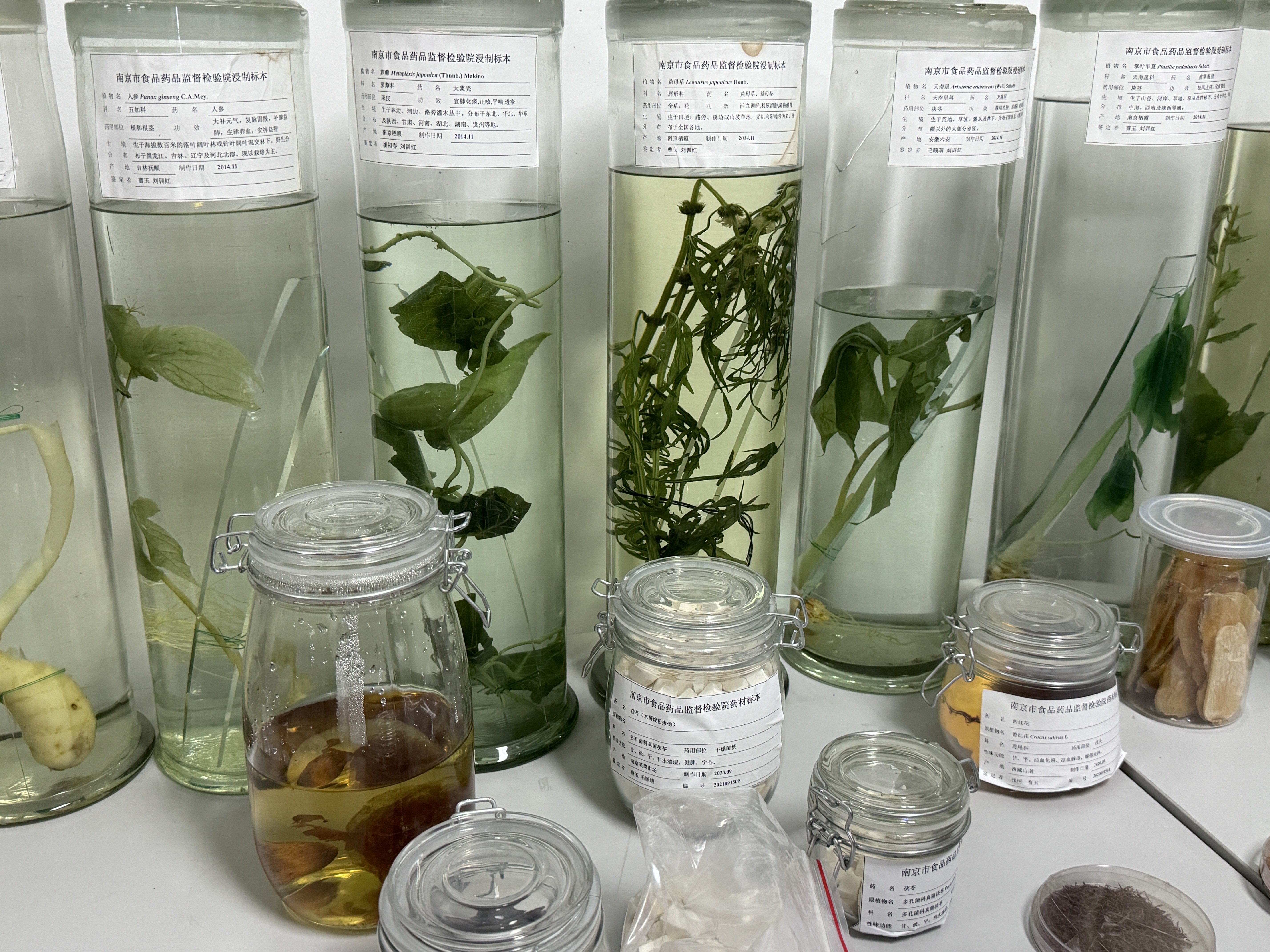 科技赋能健康引领南京食药检院举办市场监管科技周活动(图3)