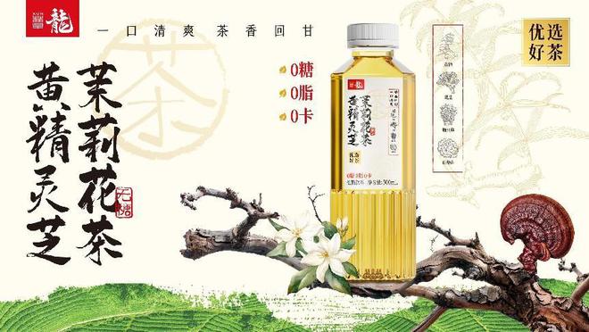 蕈龙携手2024德州运河马拉松共绘健康运动新篇章(图5)