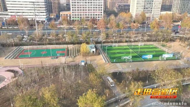 高新区体育：回顾2024展望2025