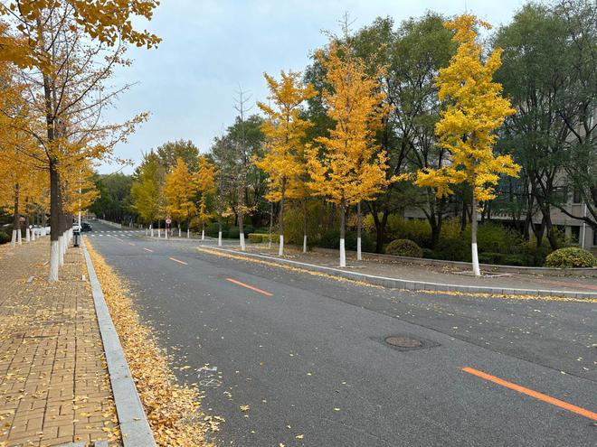 2024年体育生留学2+2国际本科合作项目怎么选？轻松教你搞定！(图3)