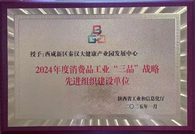 西咸新区秦汉大健康产业园发展中心被陕西省工信厅评为先进组织建设单位