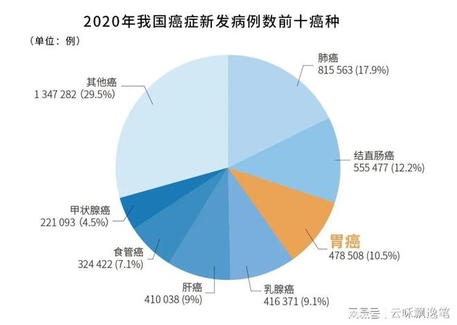 宁波肿瘤基因检测的正规中心有哪些（附2024年11月最新汇总）(图2)