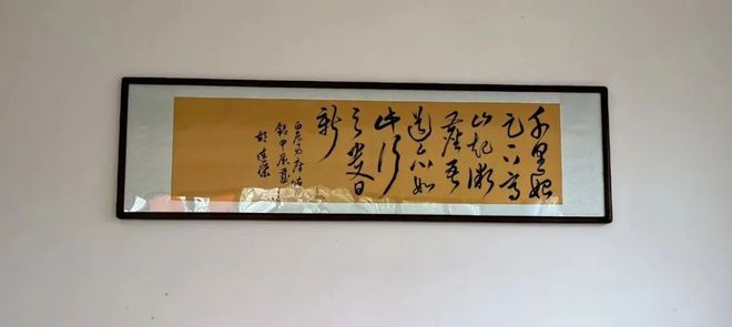 感恩胡连荣总会长赐予我好水孕育健康新生命！(图6)