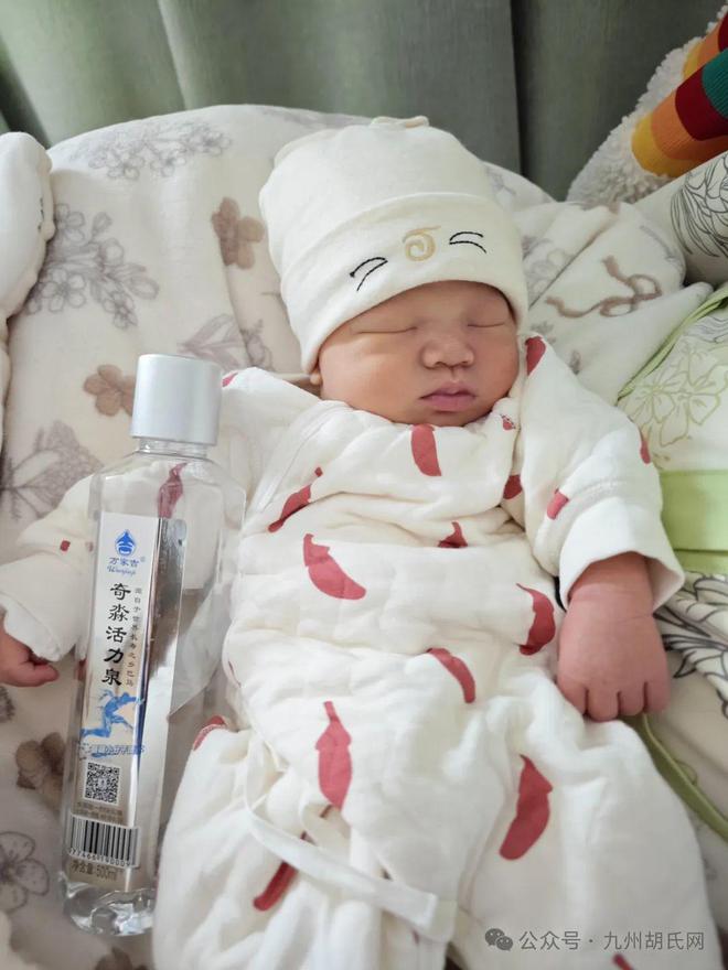 感恩胡连荣总会长赐予我好水孕育健康新生命！(图3)