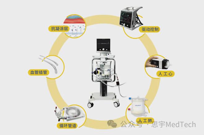最新出炉！2024年全球医疗科技新锐奖(图26)