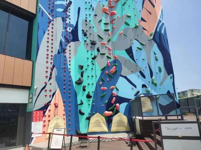 今年的“新晋顶流”运动原来是它→(图7)