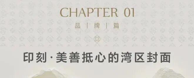 【美盛梧桐印海】建面约100110125143185㎡200-285㎡顶复(图4)