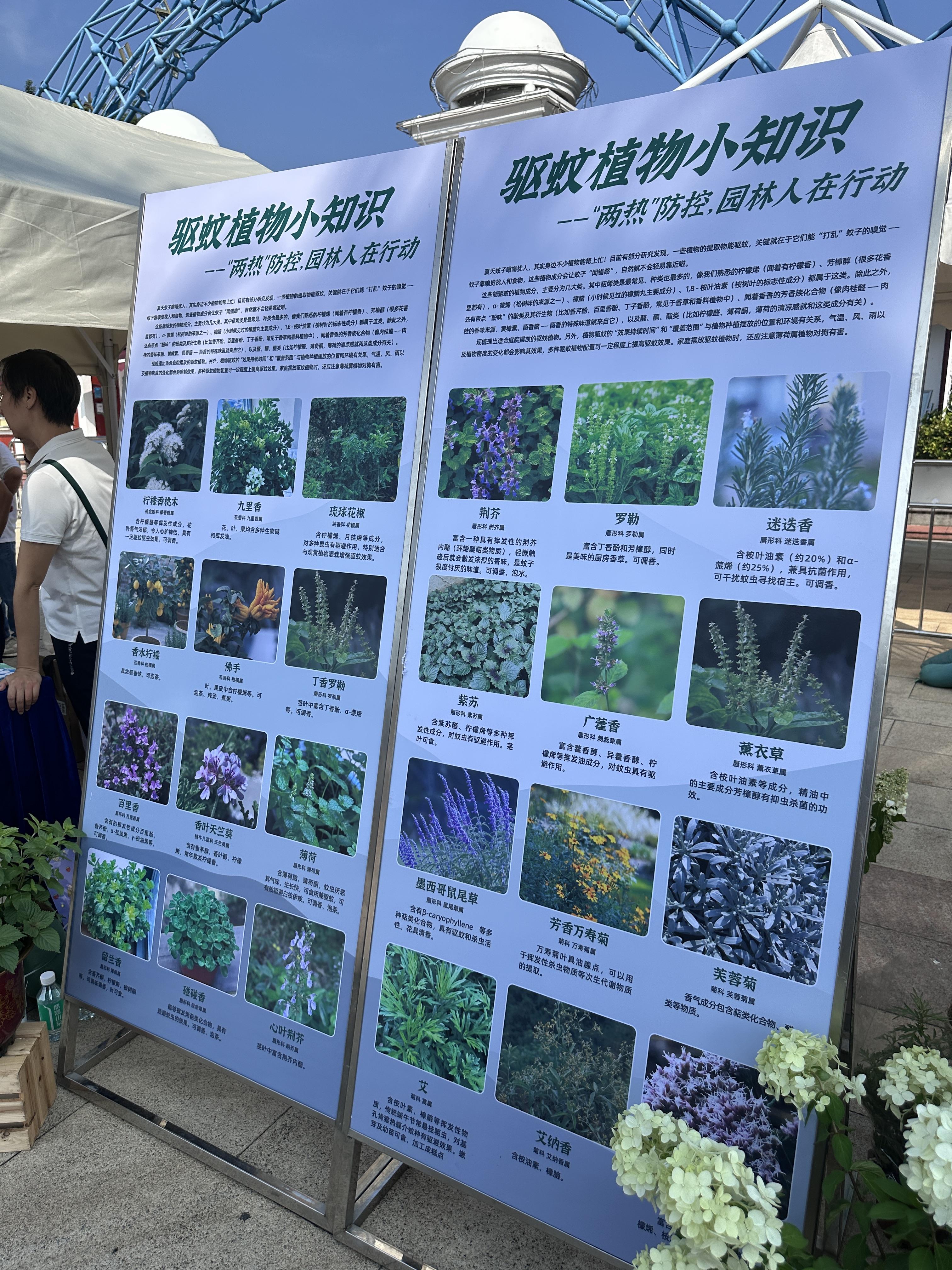 机器狗救援、“驱蚊”植物、科普游戏！广州开启“健康+”嘉年华(图4)