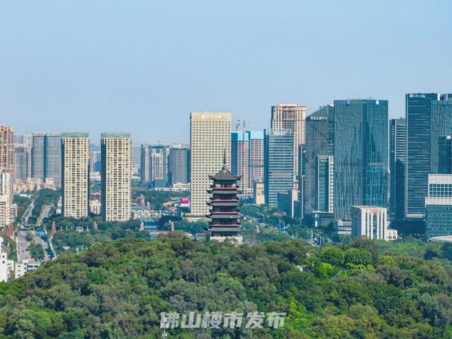 冲刺千万人口！万亿佛山开启最猛抢人计划(图5)