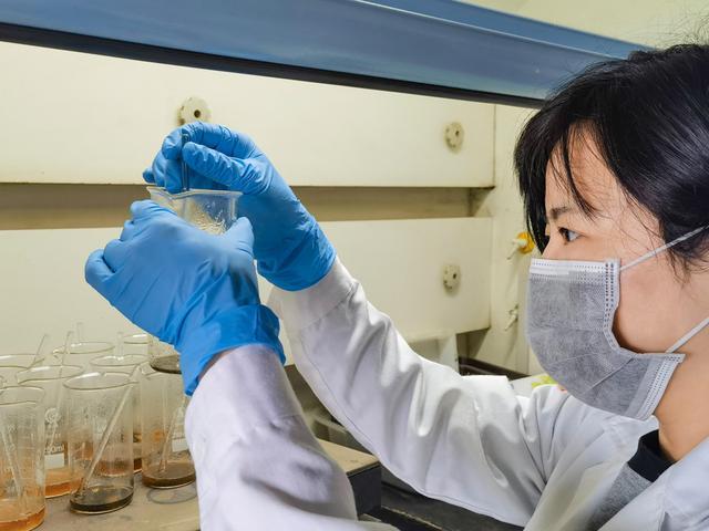 上海市农科院：跳出农业“融合”出新为“美好生活”保驾护航(图5)