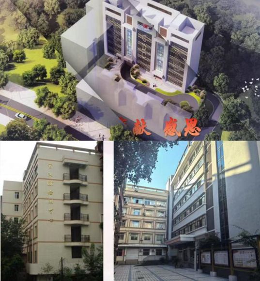 十年蝶变筑牢防线健康守护谱写新篇(图2)