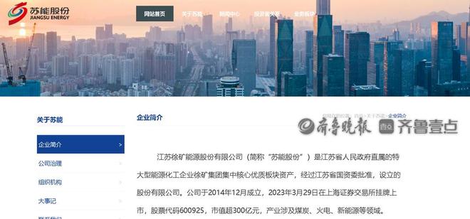 涉职业健康检查苏能股份山丹分公司被行政处罚(图2)