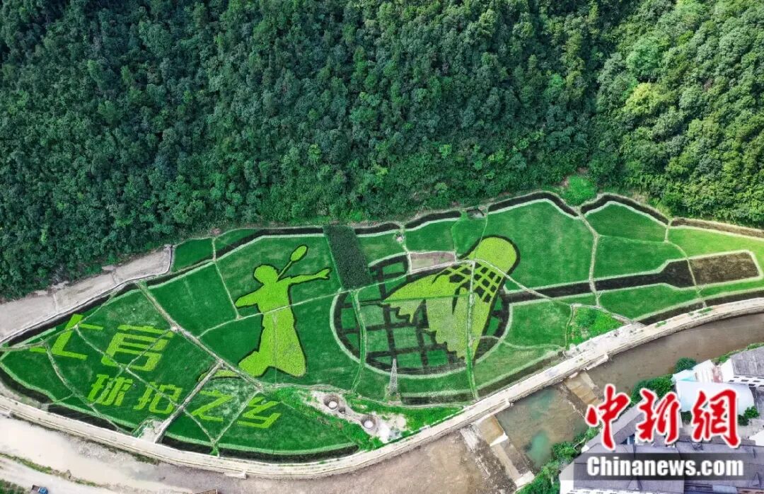 富春江边的一个乡用50年把球拍做“透”了(图3)