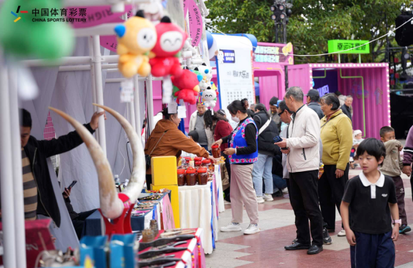 公益之火照亮彝乡体彩微光温暖楚雄——中国体育彩票2026云南公益嘉年华（楚雄站）落幕(图5)