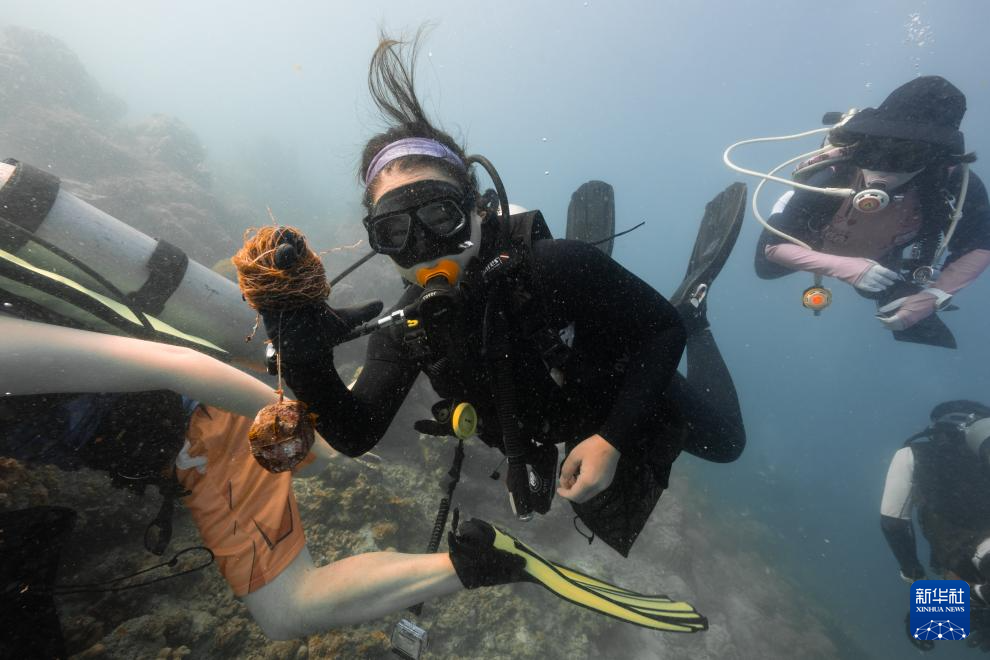 在印尼做“微公益”(图10)